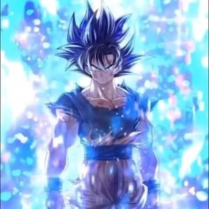 Meet your Posher, Conner